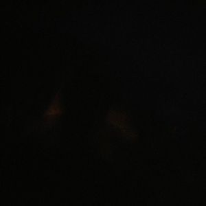 Meet your Posher, Joey